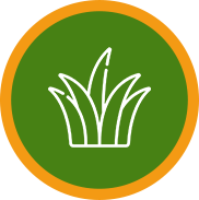 Agrivoltaïsme : Icone herbe Davele