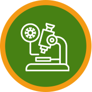 Agrivoltaïsme : Icone recherche Davele