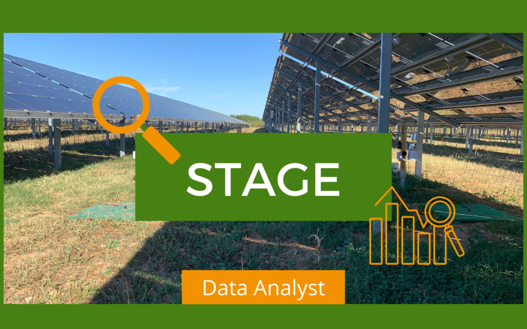 Stage Data Analyst